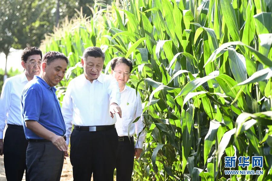 浪费可耻节约为荣，习近平关切“小米粒”里的“大民生”